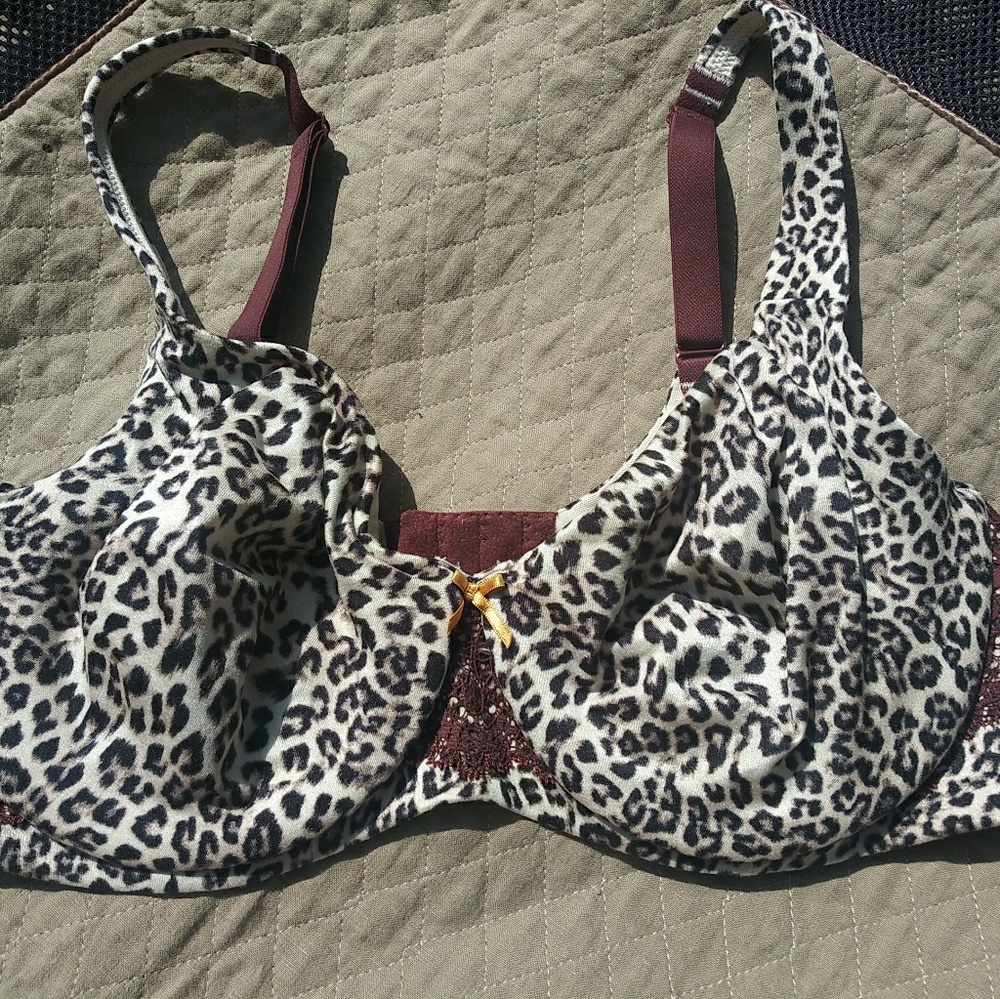 Lane Bryant 40D Bra